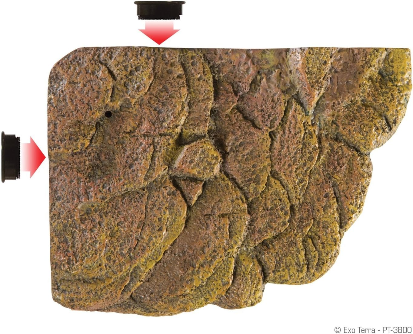 Exo Terra Turtle Bank - Small - M (Pack Of 1) image number 4