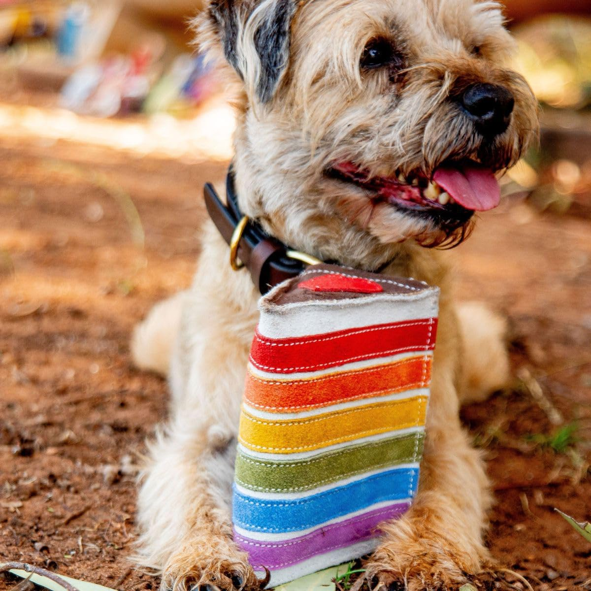 Rainbow Suede Dog Toy with Heart Design, 14X8X11 Cm, Buffalo Leather and Jute Dog Toy Puppy Teething Toy Fetch Toy Tug Toy Handmade Safe Pet Toy Ethical image number 2