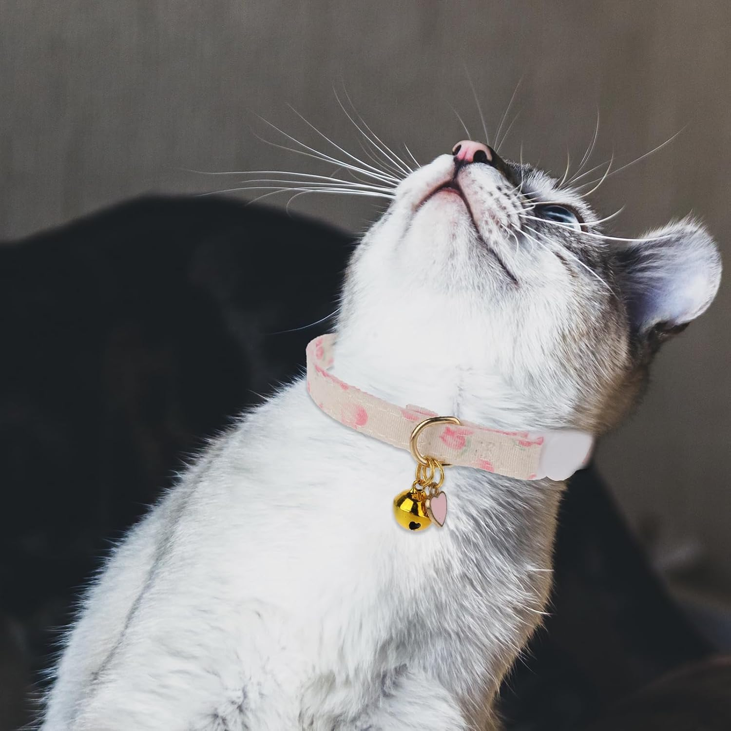 Pack of 2 Tear-Off Cat Collars, Reflective Cat Collars, Adjustable Cat Collar, Cute Kitten Collar, Ideal for Cats