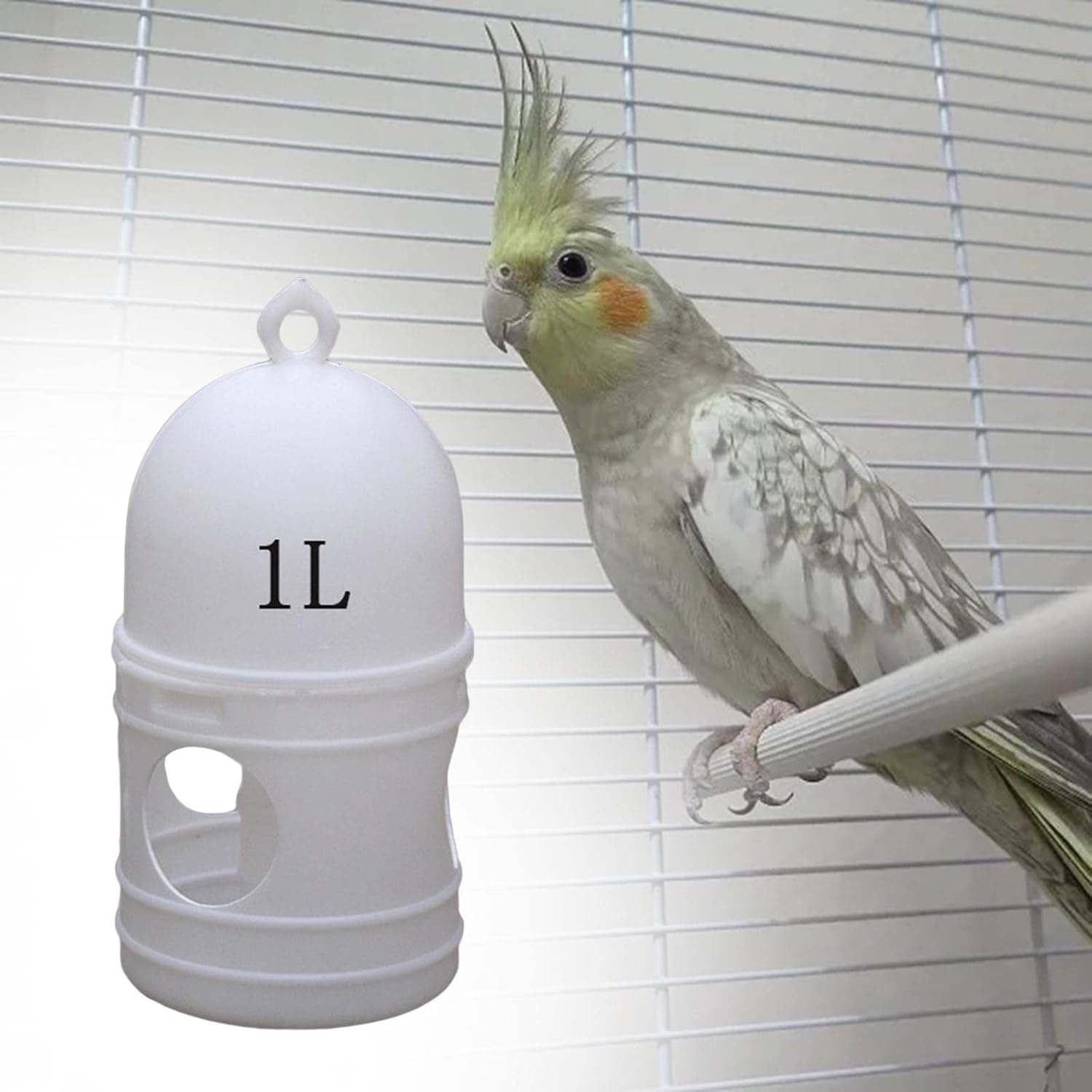 1L Pigeon Water Dispenser Bird Drinker Automatic Bird Water Feeder White, 16X12Cm