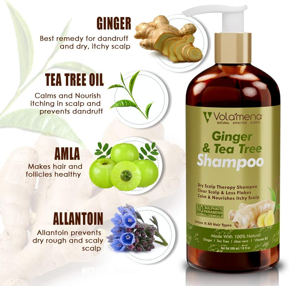 VOLAMENA with DEVICE Ginger & Tea Tree Shampoo with anti Dandruff Active Ingredients 300 Ml 10 Fm Oz image number 6