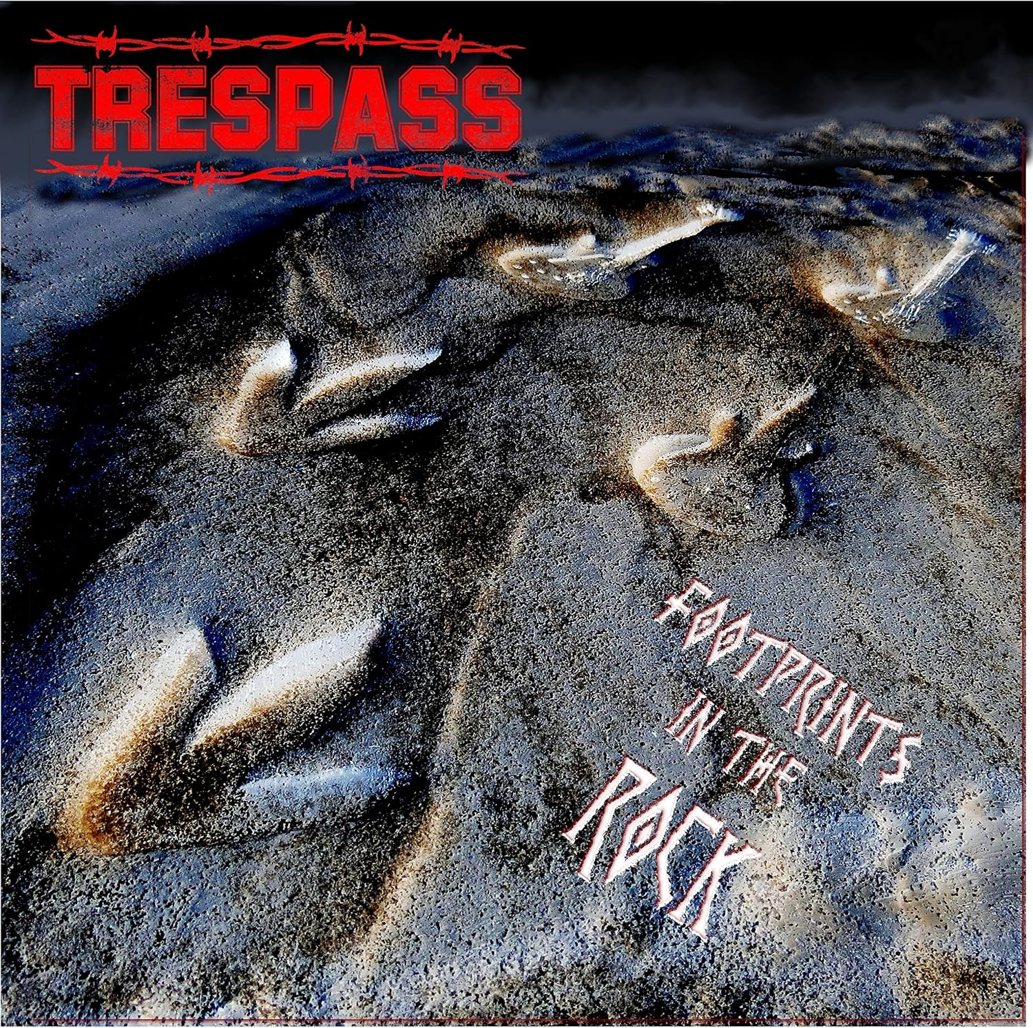 Footprints in the Rock