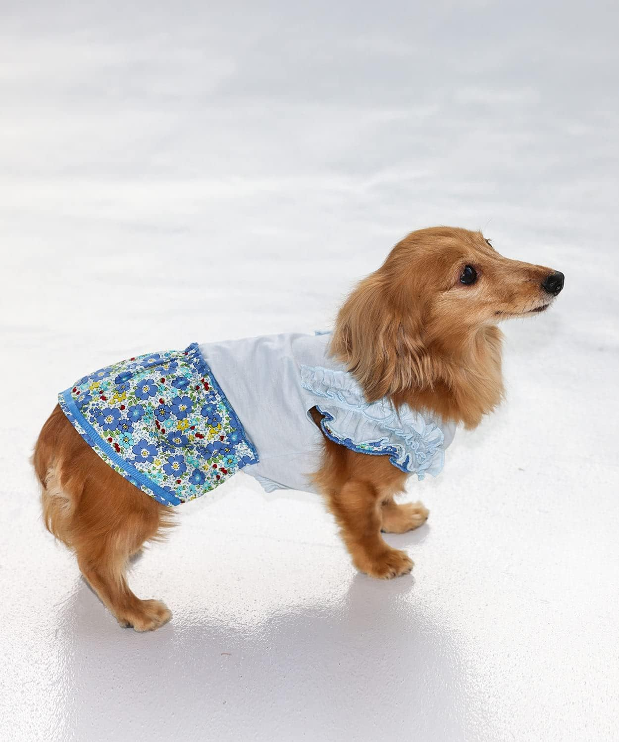 Dog Life Cool Dress Floral Blue Dog Small image number 3