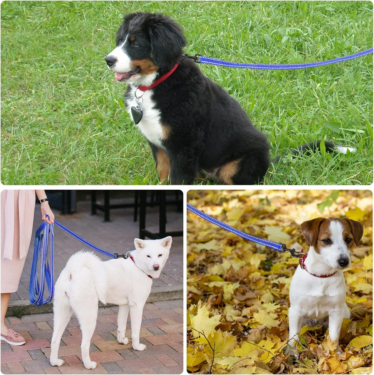 Demigreat Recall Lead for Dogs, 3 M / 5 M / 10 M / 15 M / 20 M Robust Long Dog Lead Reflective Training Lead with Padded Handle and Hand Strap image number 1