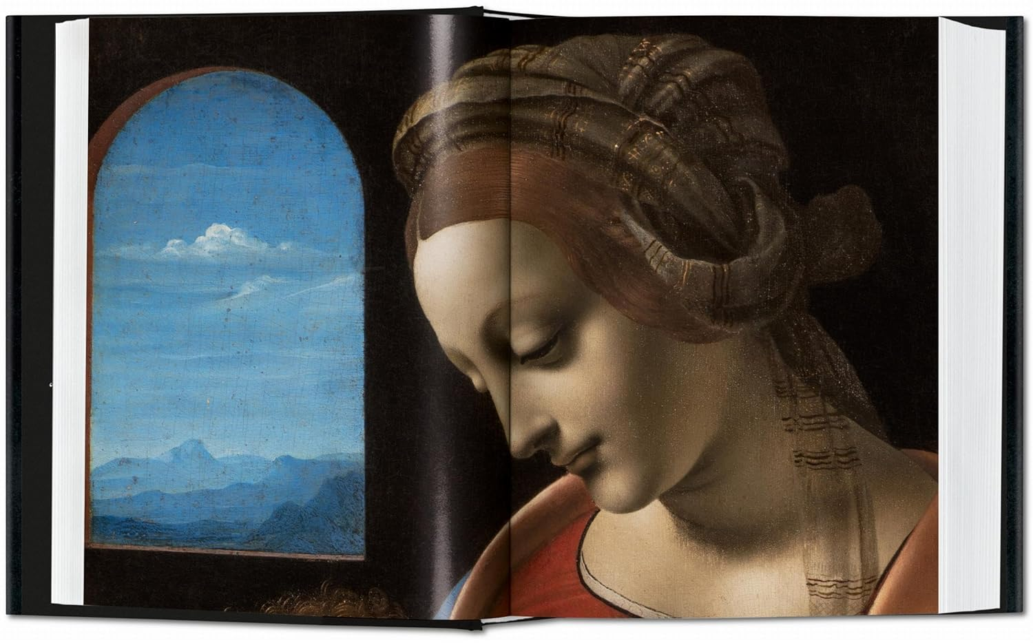 Leonardo. the Complete Paintings. 45Th Ed. image number 6