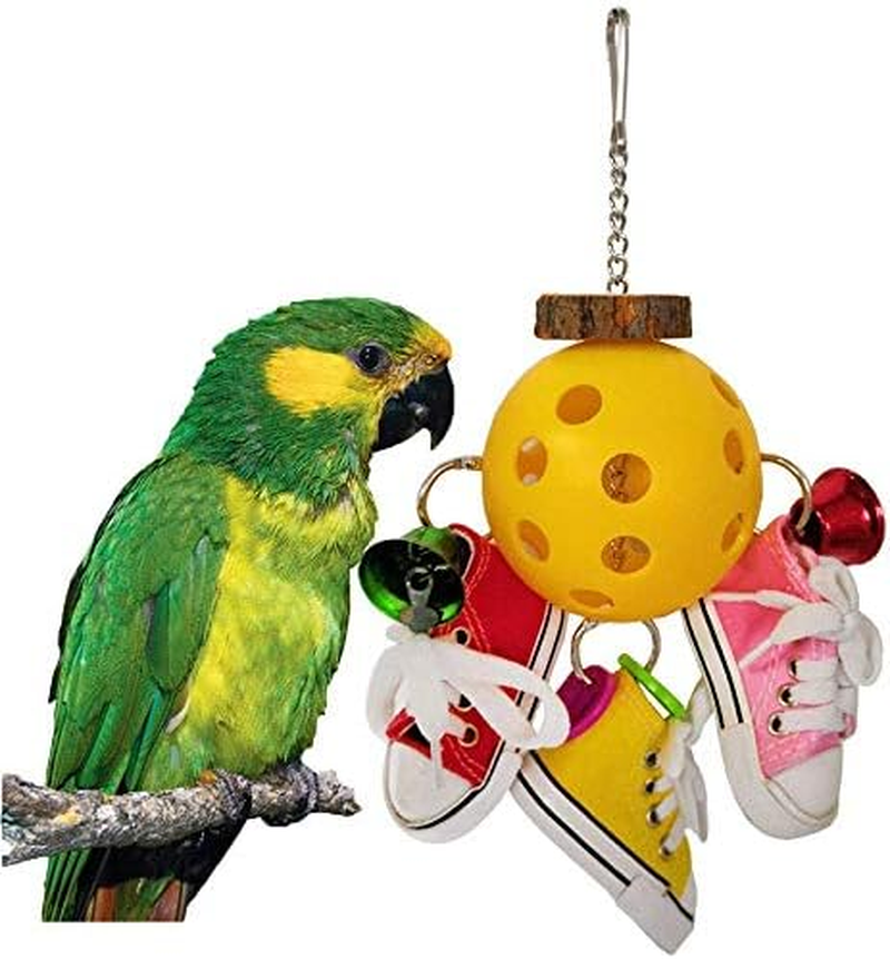 Litewoo Bird Parrot Intelligence Toys Mini Training Skateboard for Budgies Parakeet Cockatiel Lovebird Conure Small and Medium Bird Funny Cute Perch Toy