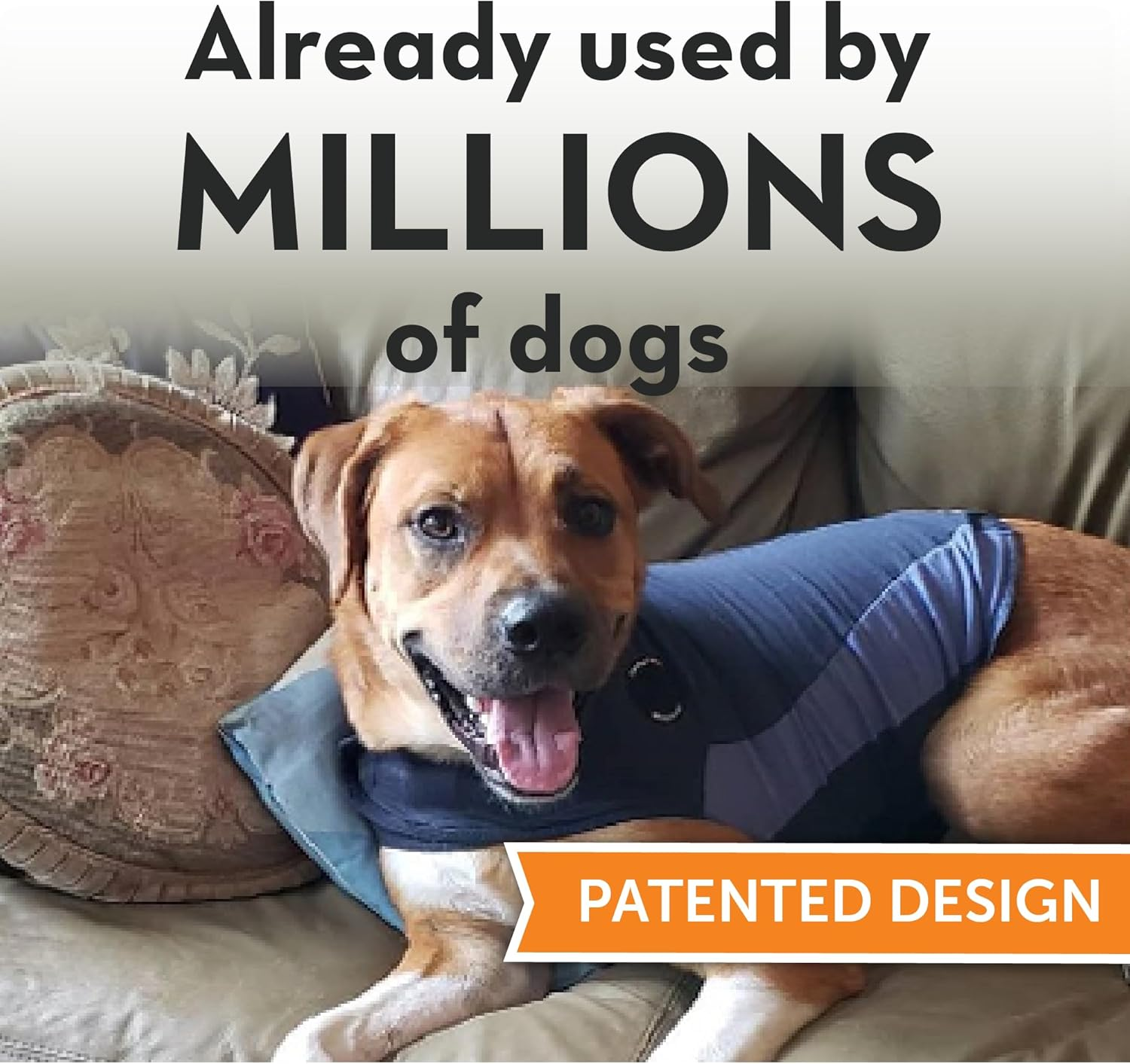 Thundershirt Polo Dog Anxiety Jacket | Vet Recommended Calming Solution Vest for Fireworks, Thunder, Travel, & Separation | Blue, Medium image number 7