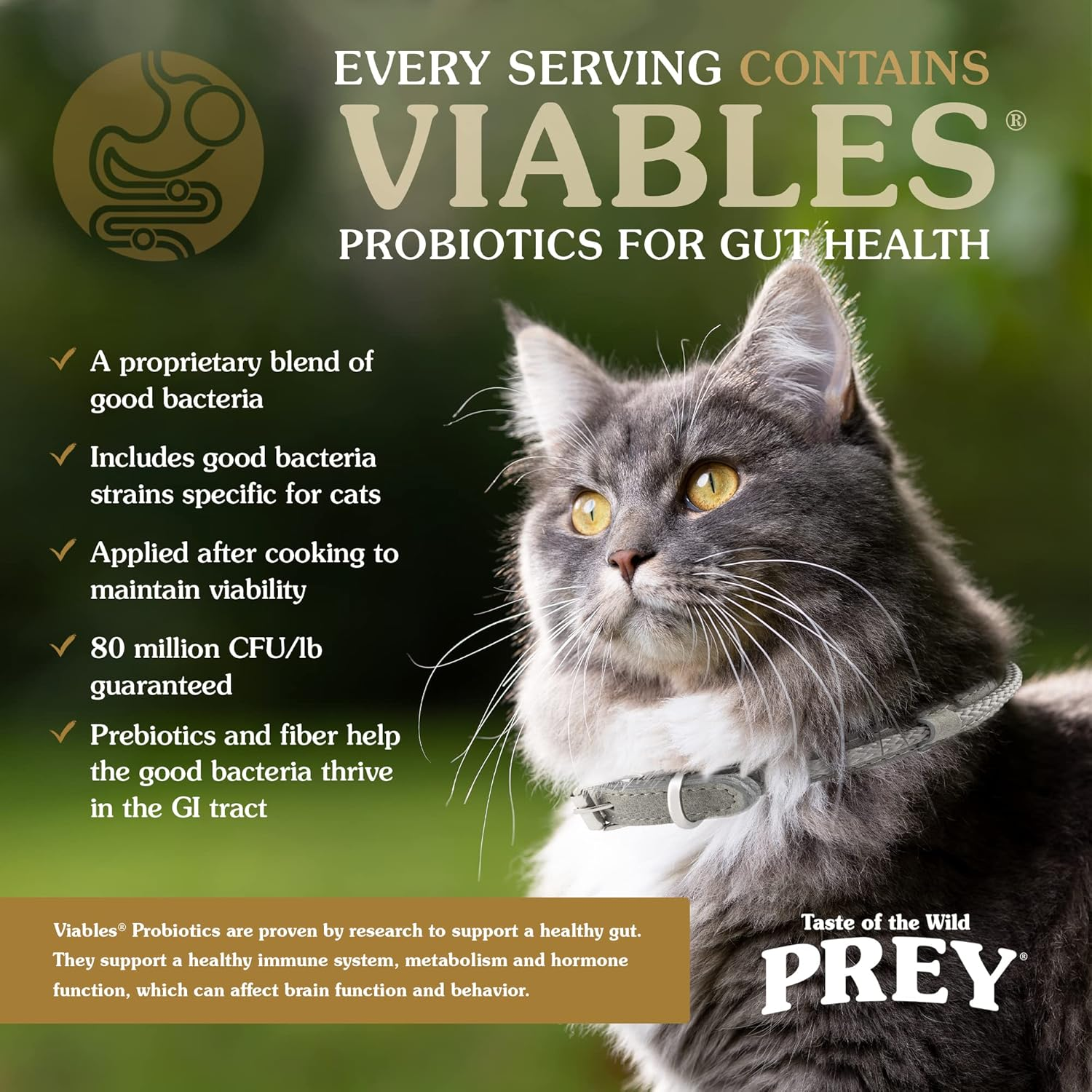 Taste of the Wild Prey - Turkey Cat 2.7Kg