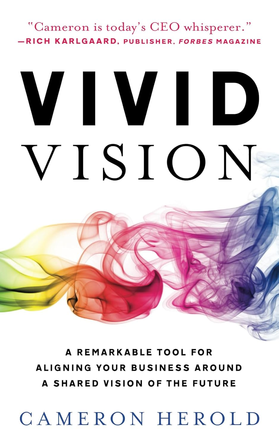 Vivid Vision: a Remarkable Tool for Aligning Your Business around a Shared Vision of the Future image number 1