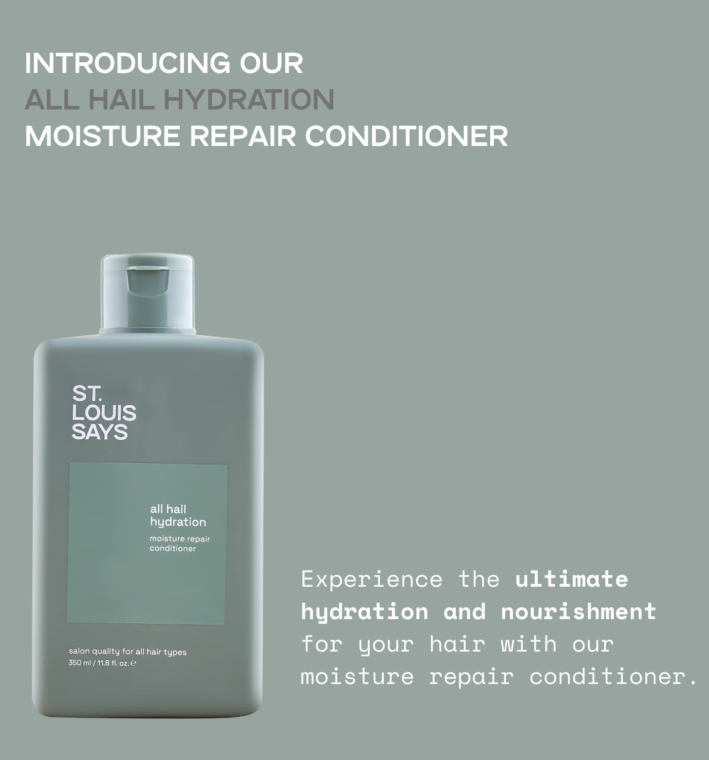 All Hail Hydration Conditioner &ndash; Deep Moisturizing & Nourishing Conditioner for Dry, Frizzy, and Damaged Hair &ndash; Softens, Detangles & Strengthens &ndash; for All Hair Types image number 4