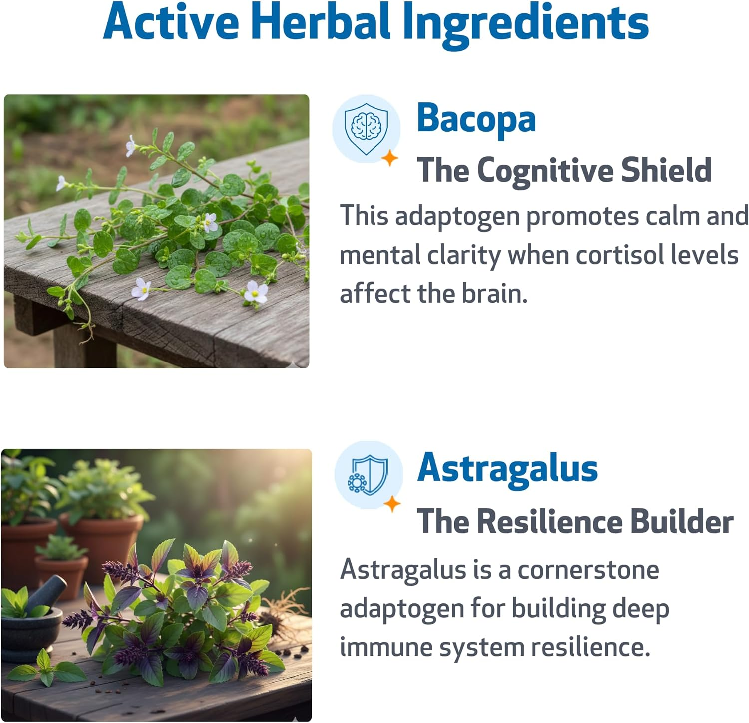 Pet Wellbeing Adrenal Harmony Gold for Dogs - Vet-Formulated - Adrenal Gland Supplement for Dogs, Ashwagandha, Astragalus, Bacopa, Holy Basil - Herbal Supplement &ndash; 4 Oz (118 Ml) image number 5