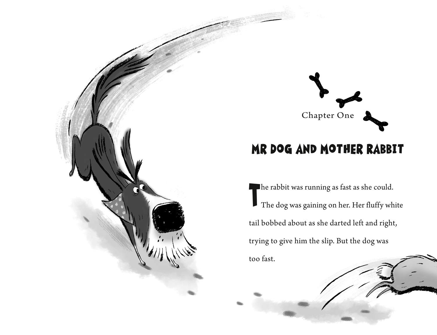 Mr Dog - Mr Dog and the Rabbit Habit