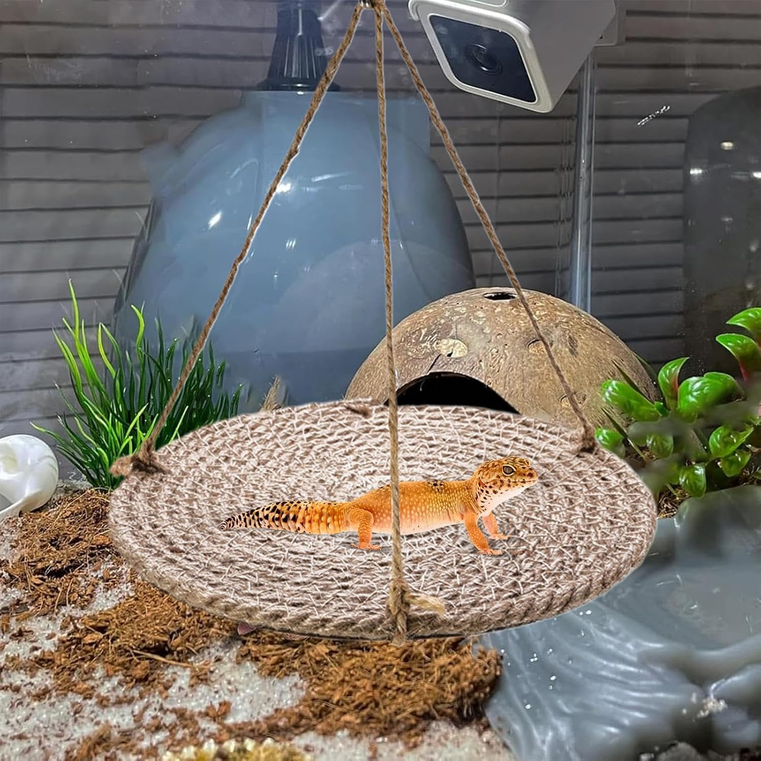 Bearded Dragon Bed | Lizard Cage Bed Swing Gecko Toy,Bearded Dragon Habitat, Small Pets Carrier, Breathable Mesh Rest for Parakeets, Birds, Squirrels - Large image number 4