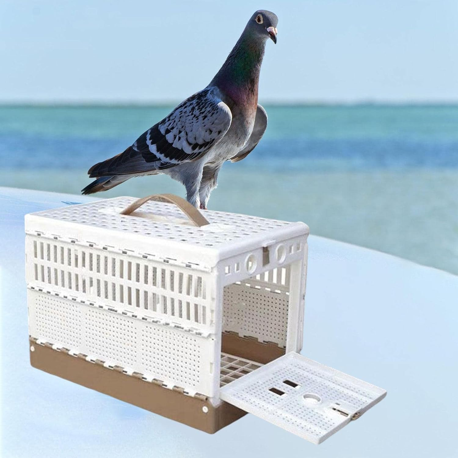 Hellery Folding Pigeon Cage Poultry Bird Cage Box Pigeon Training Cage for Travel image number 4