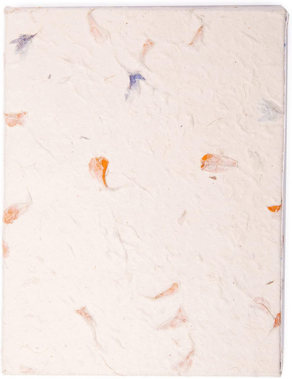 HIMALAYAN BAZAAR Lokta Paper Greeting Cards and Envelope Set - Ecofriendly Stationary Blank Note Cards | All Occasion Greeting Cards | Handmade in Nepal