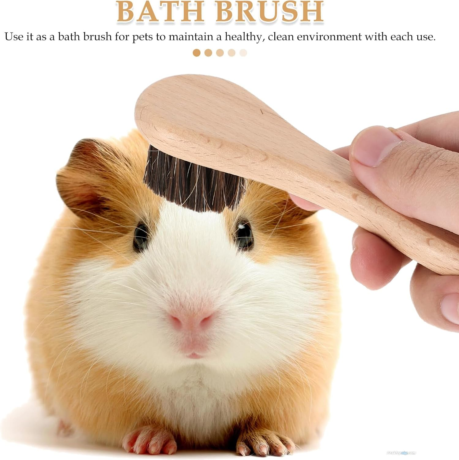 COHEALI 2Pcs Hamster and Guinea Pig Bath Brush Set with Soft Bristles, Wooden Handle Pet Grooming and Bathing Tool for Small image number 1