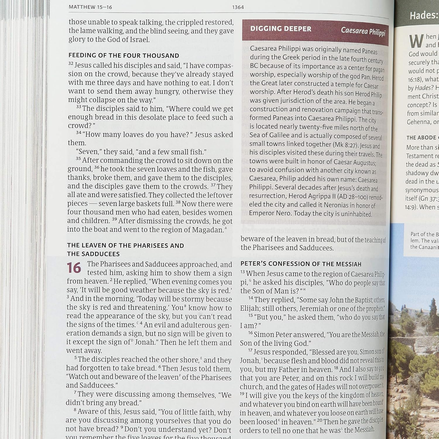 CSB Holy Land Illustrated Bible, Ginger Leathertouch image number 2