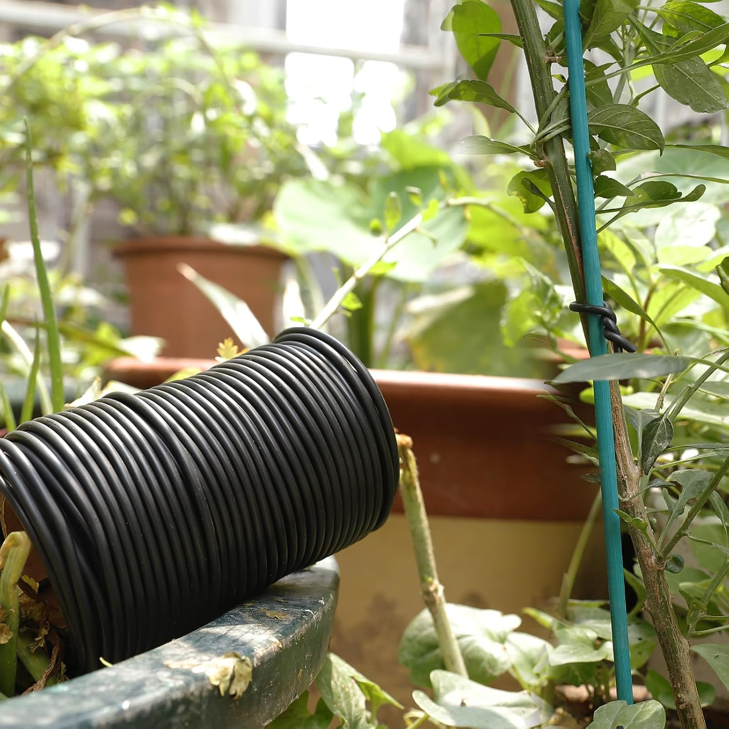 101 Feet Black Plant Twist Ties, Soft Plant Ties for Vine Support, 3Mm TPR Flexible Garden Tie for Plants Gardening Office Home Use image number 6