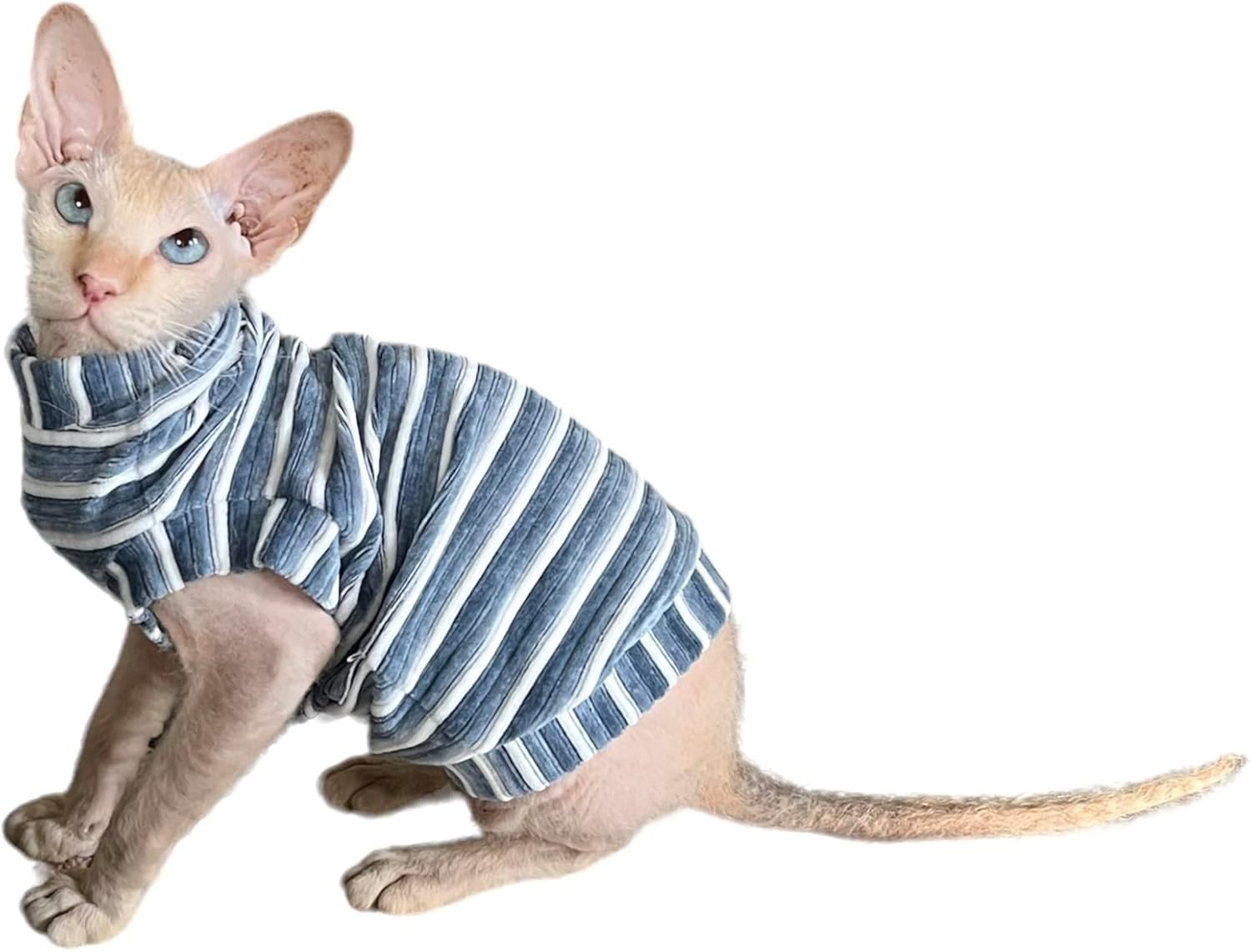 Kotomoda Cat'S T-Shirt Corduroy Dusty Blue for Sphynx and Naked Cats (Small) image number 1