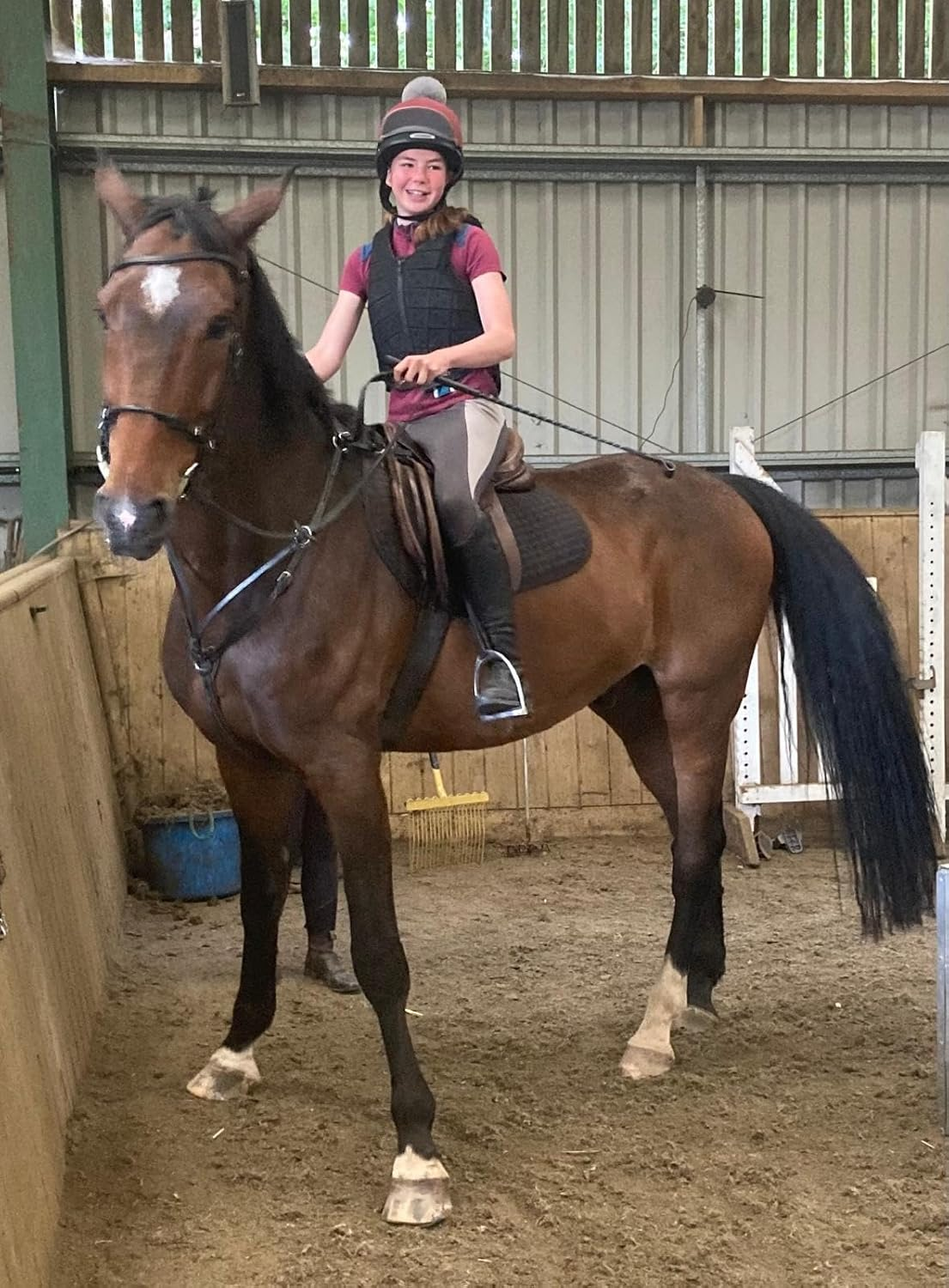 Pet Health Testing - Horse Sensitivity Test Kit | Easy to Use | Non-Invasive Fur Sample | 300 Item Test | Personalised Results Report in 3 Days | AUS Based Testing image number 4