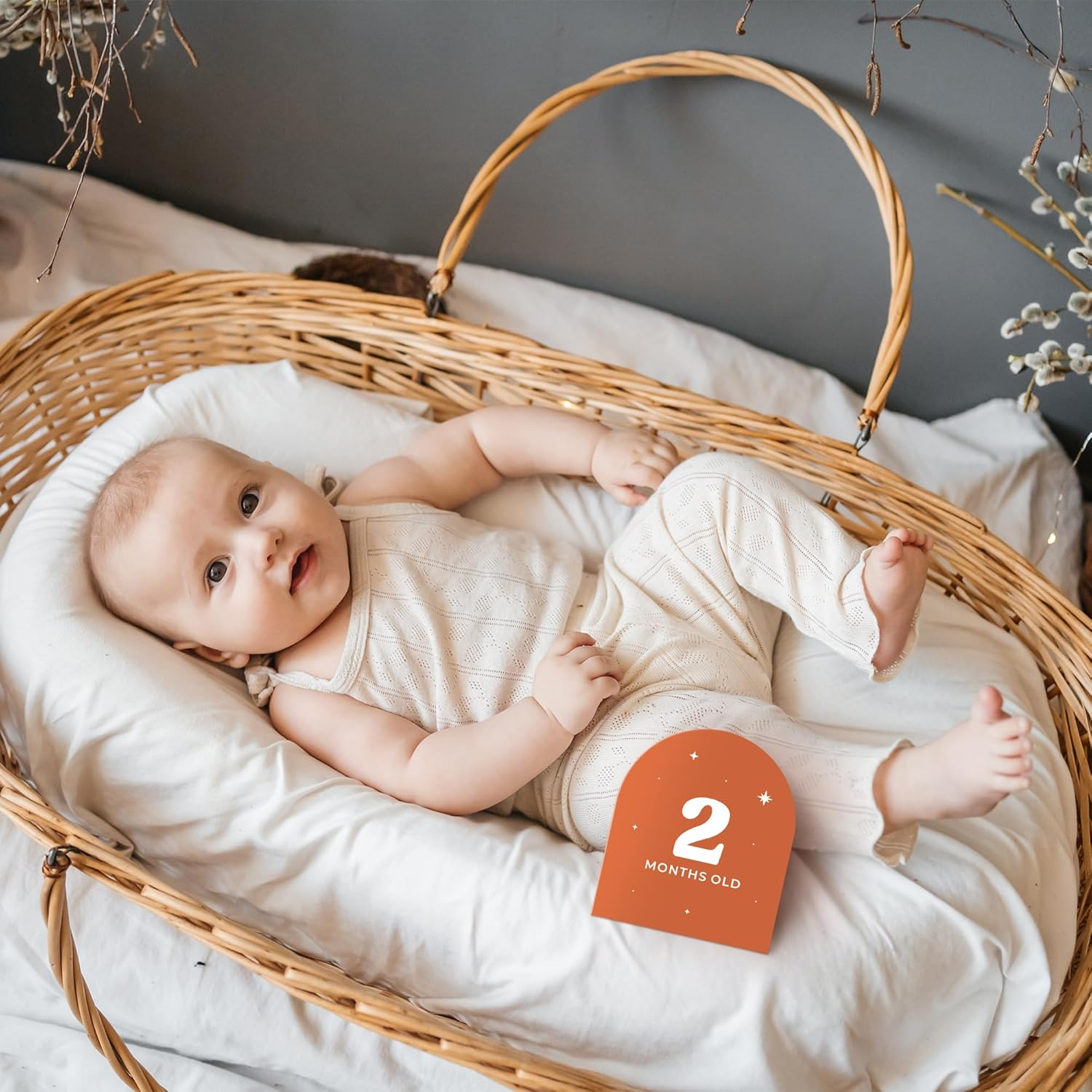 Beautiful Baby Monthly Milestone Cards - the Perfect Cards for Adorable Milestone Pictures of Your Newborn Boy/Girl - 15 Reversible Paper Set Incl. Welcome Home & Hello World Sign Are a Great Gift image number 6