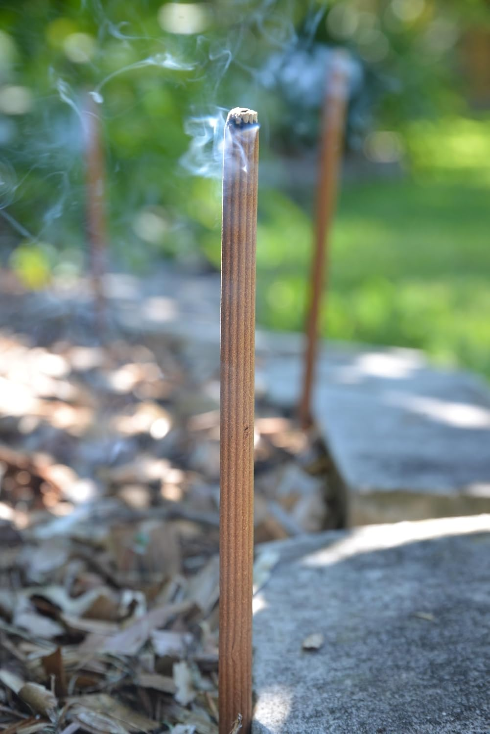 Waxworks Citronella & Sandalwood Oil Incense Sticks &ndash; Fly & Mosquito Repellent for Outdoors &ndash; 12 Pack Insect Repellent for Patios & Camping &ndash; up to 3 Hours Burn Time per Stick &ndash; Eucalyptus Fragrance image number 2