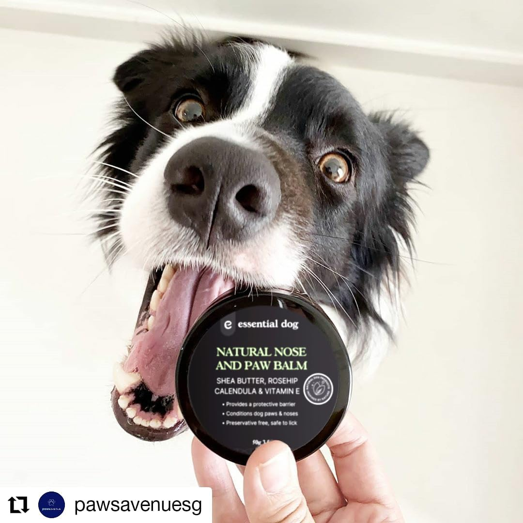 E ESSENTIAL DOG - Natural Nose and Paw Balm 50 G image number 1
