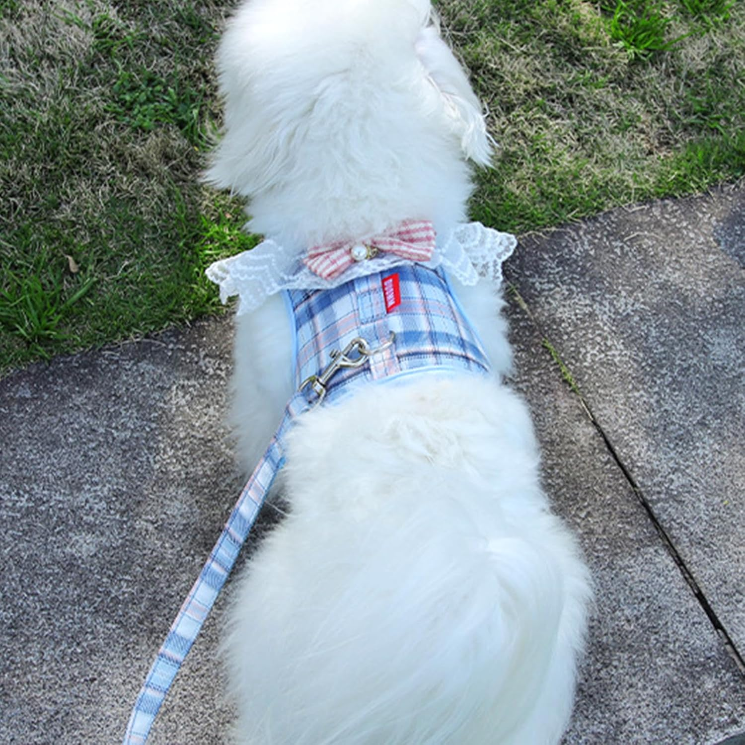 Cat Vest Harness and Lead Sets, Escape Proof Puppy Kitten Vest Harnesses, Adjustable Kitten Harness and Lead Set, for Small Medium Cats Pets Outdoor Walking Escape Proof (Blue) image number 1