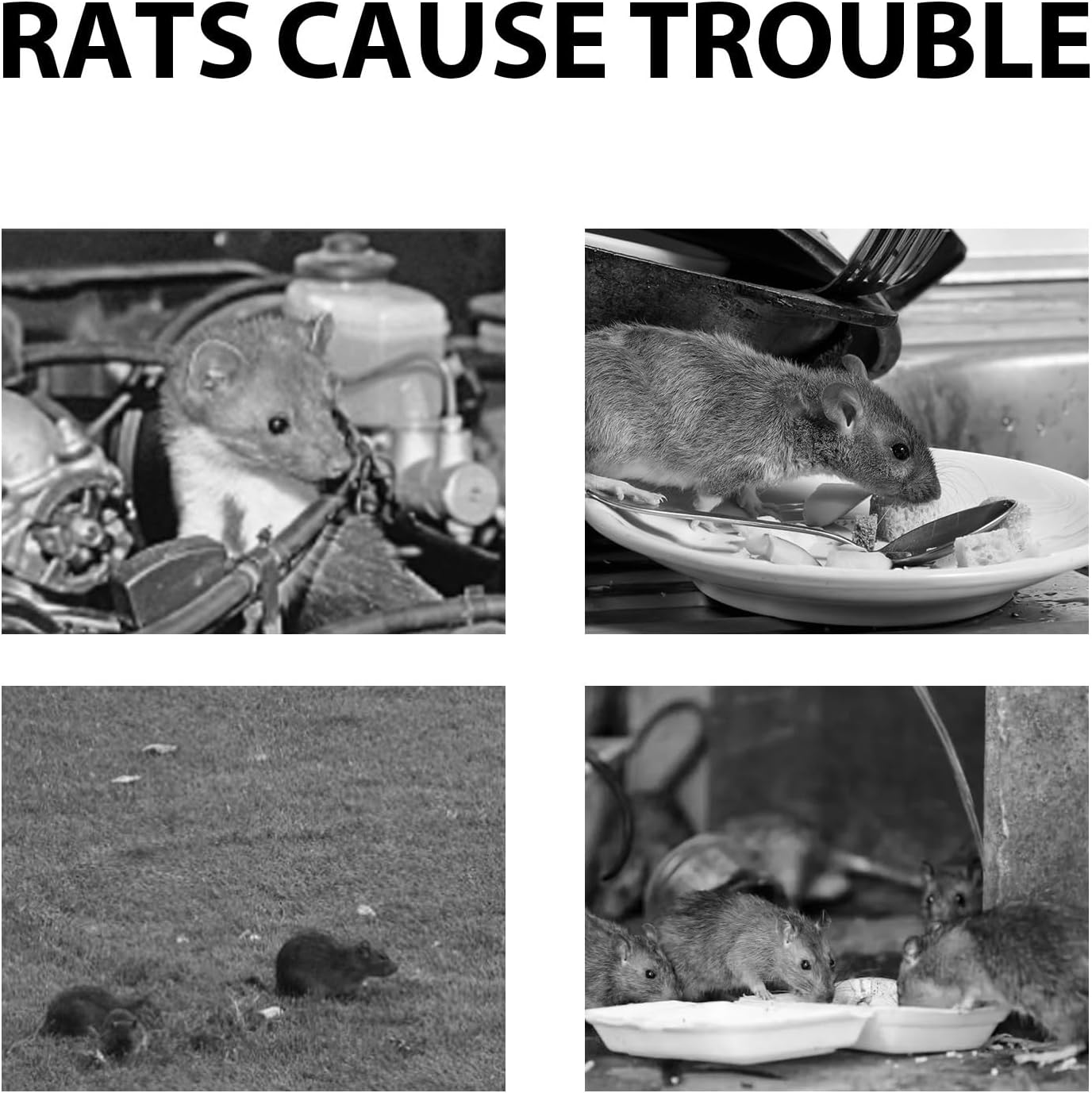 Animal Repeller,Rodent Repellent Cream, Powerful Mice Repellent,（2Pcs） image number 5