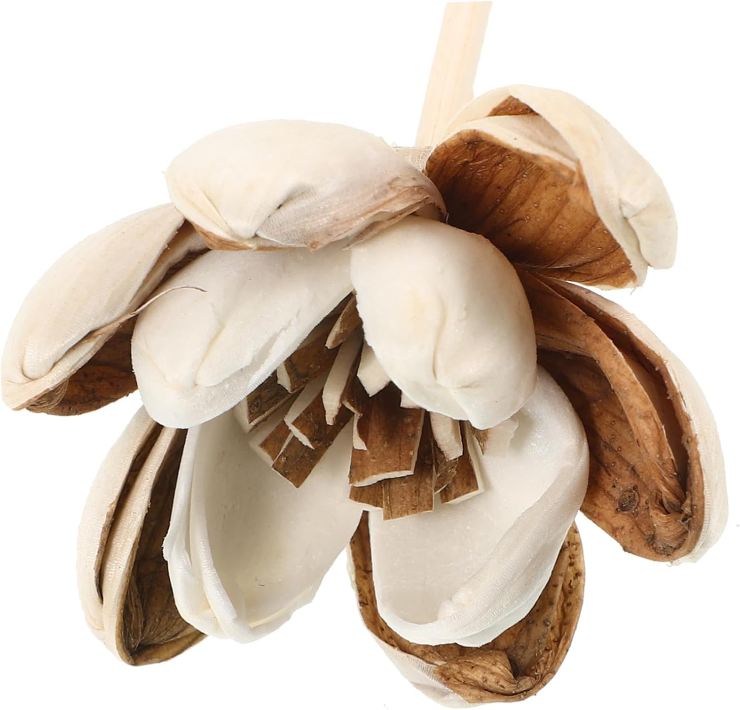 SEWACC 10Pcs Natural Flower Diffuser Sticks Aromatherapy Oil Fragrance for Home Scent Diffuser Bottles image number 6