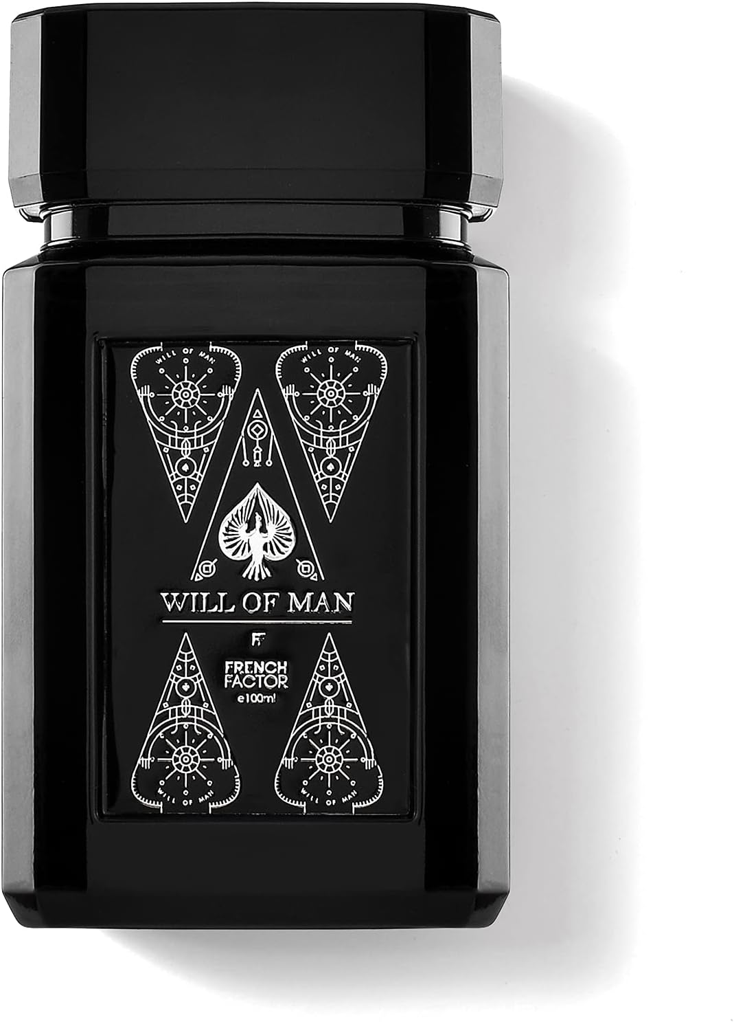 French Factor Will of Man Perfume for Men (100Ml) image number 6