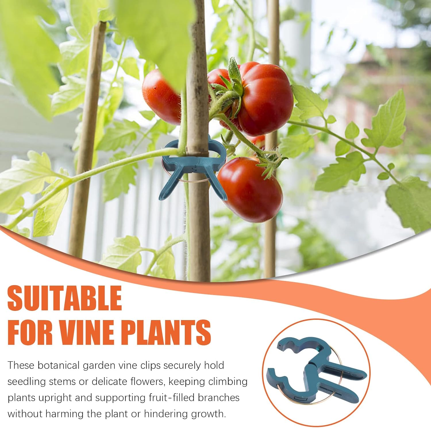 Tanstic 50Pcs Green Plant Support Clips Kit, 2 Sizes Plant Clips Garden Clips, Gardening Plant Flower Lever Loop Gripper Clips for Supporting and Straightening Stems, Stalks, Vines image number 3