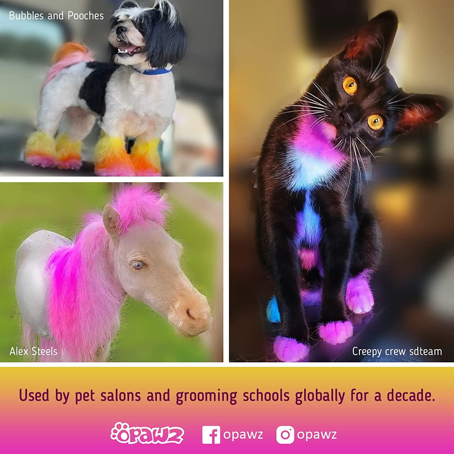 OPAWZ Semi-Permanent Dog Hair Dye, Food-Grade Pigment Dog Dye, Non-Toxic Pet Hair Dye for Dogs, Cats and All Pets Can Be Bathed (Kelly Green) - Hawaii Blue image number 7