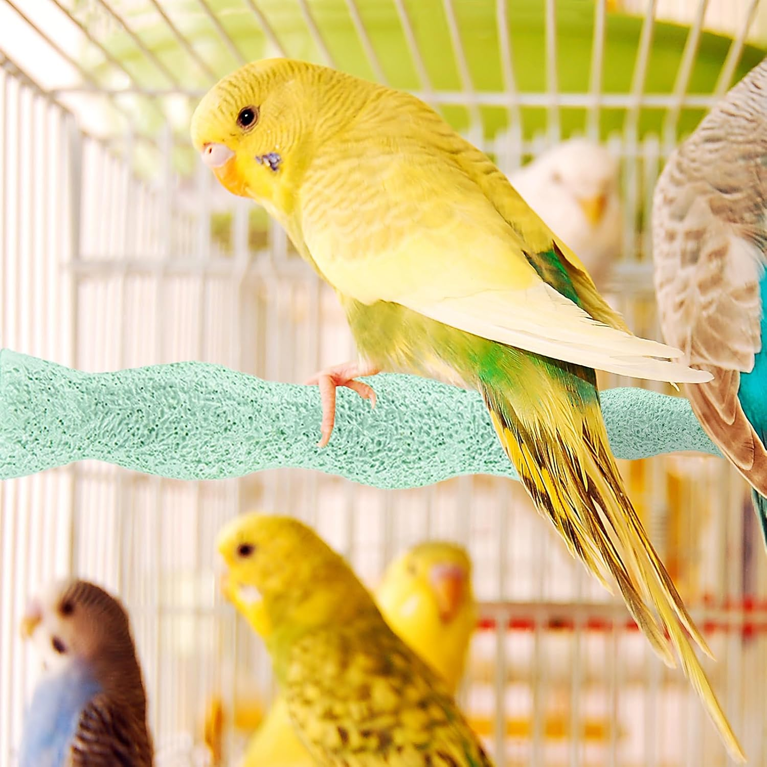 Bird Cage Perch Stand & Chewing Stick, Natural Paw Grinding & Beak Care Tool, Training Exercise Toy for Small Medium Birds: Budgies, Parakeets, Lovebirds, Conure, Cockatiels (Green) image number 3