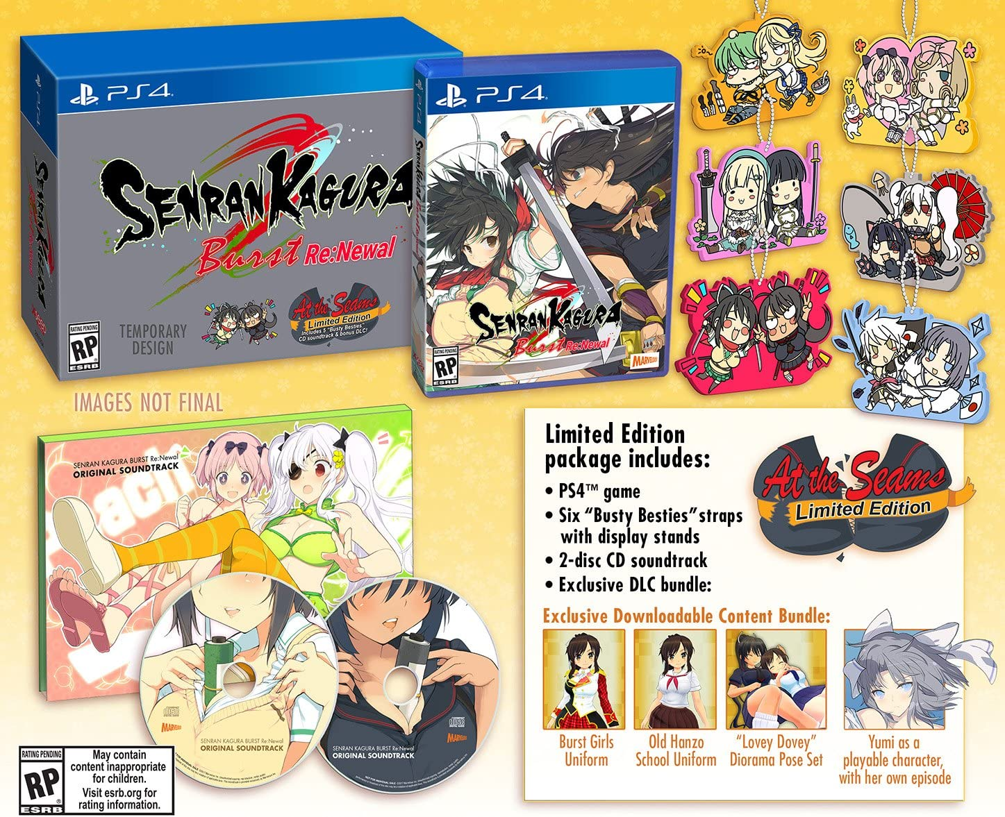 Senran Kagura Burst Re:Newal - at the Seames Limited Edition for Playstation 4 image number 6