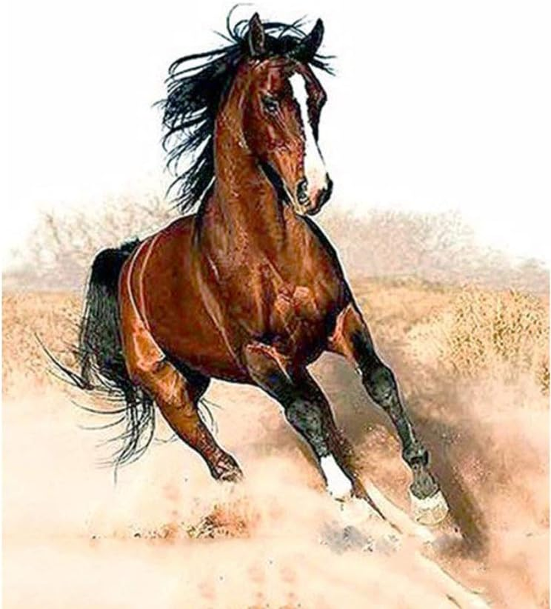 BERYART DIY Oil Painting Paint by Number Kits for Adults Kids Beginner, Great Gift and Home Decor - a Running Horse 16X20 Inches (Without Frame)