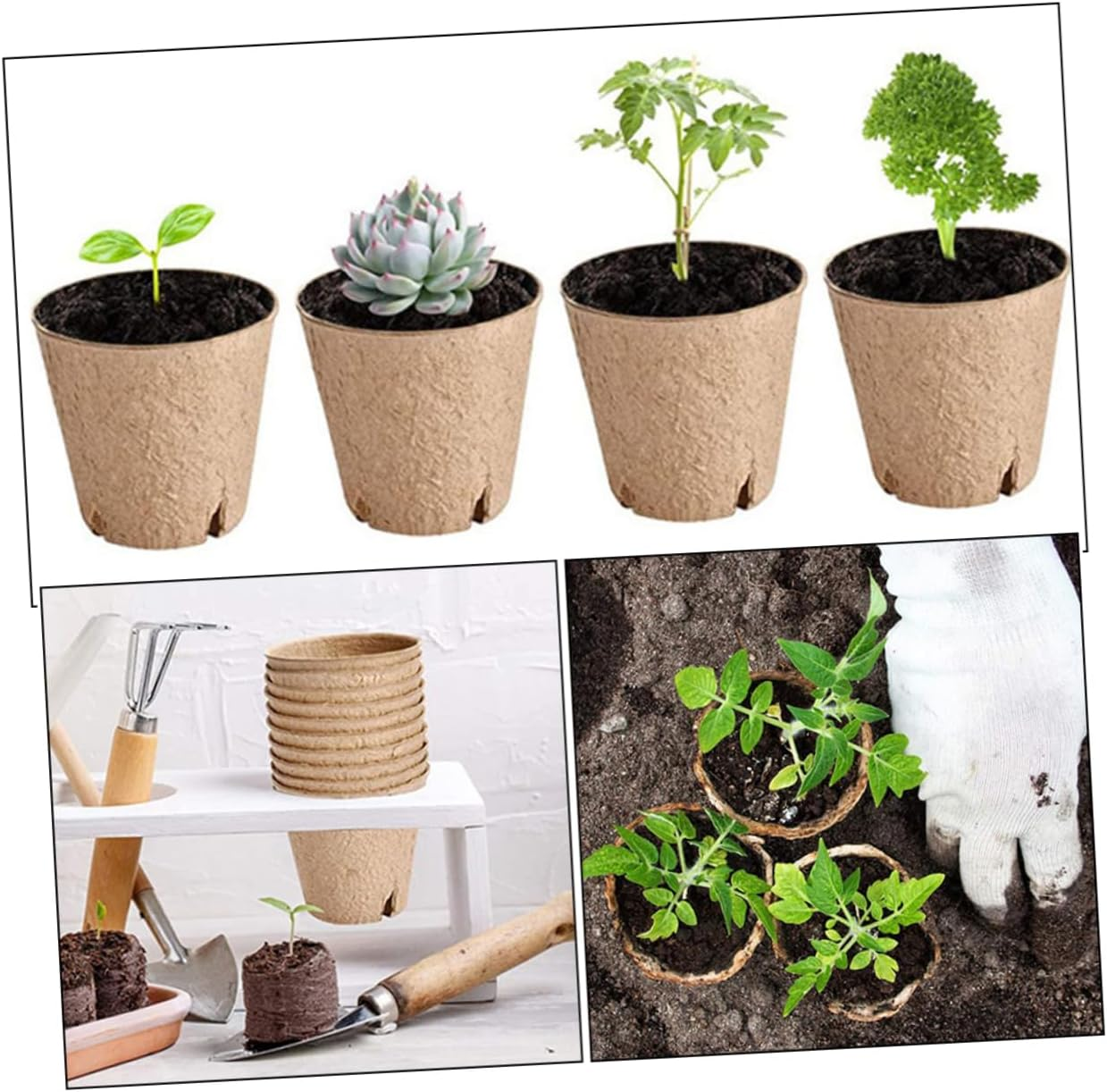 TINEASUR 50Pcs round Paper Pulp Pots for Gardening Nursery Drainage for Growth and Easy Care image number 4