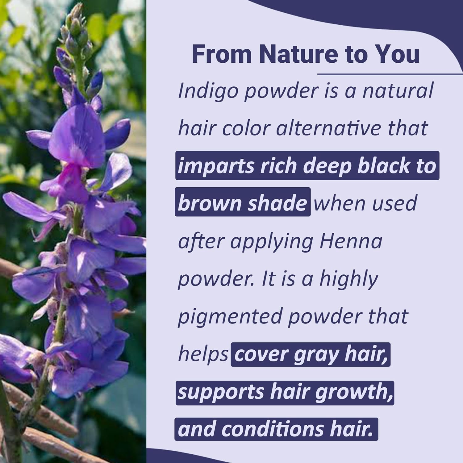 Mi Nature 100% Indigo Leaf Powder 1KG (35Oz) |Pure Herbal Tint for Rich Dark Hair Color |Natural Tinctoria Powder (Indigofera Tinctoria) image number 4