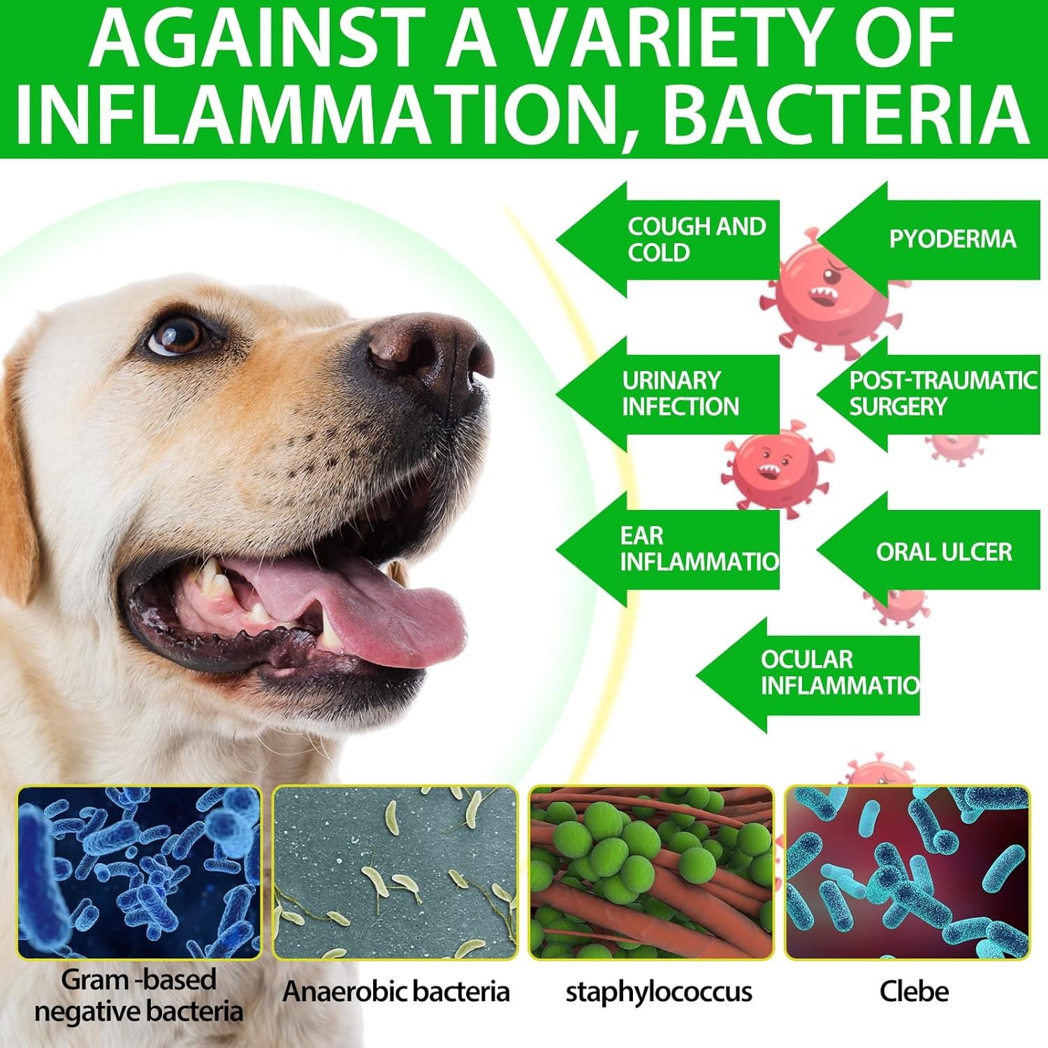 Natural Antibiotics for Dogs, Dog Antibiotics Drops, Herbal Ingredients, Promotes Gut Health, Strengthen Immune Function, Support Seasonal Allergy, Enhances Health & Vitality, 60Ml image number 4