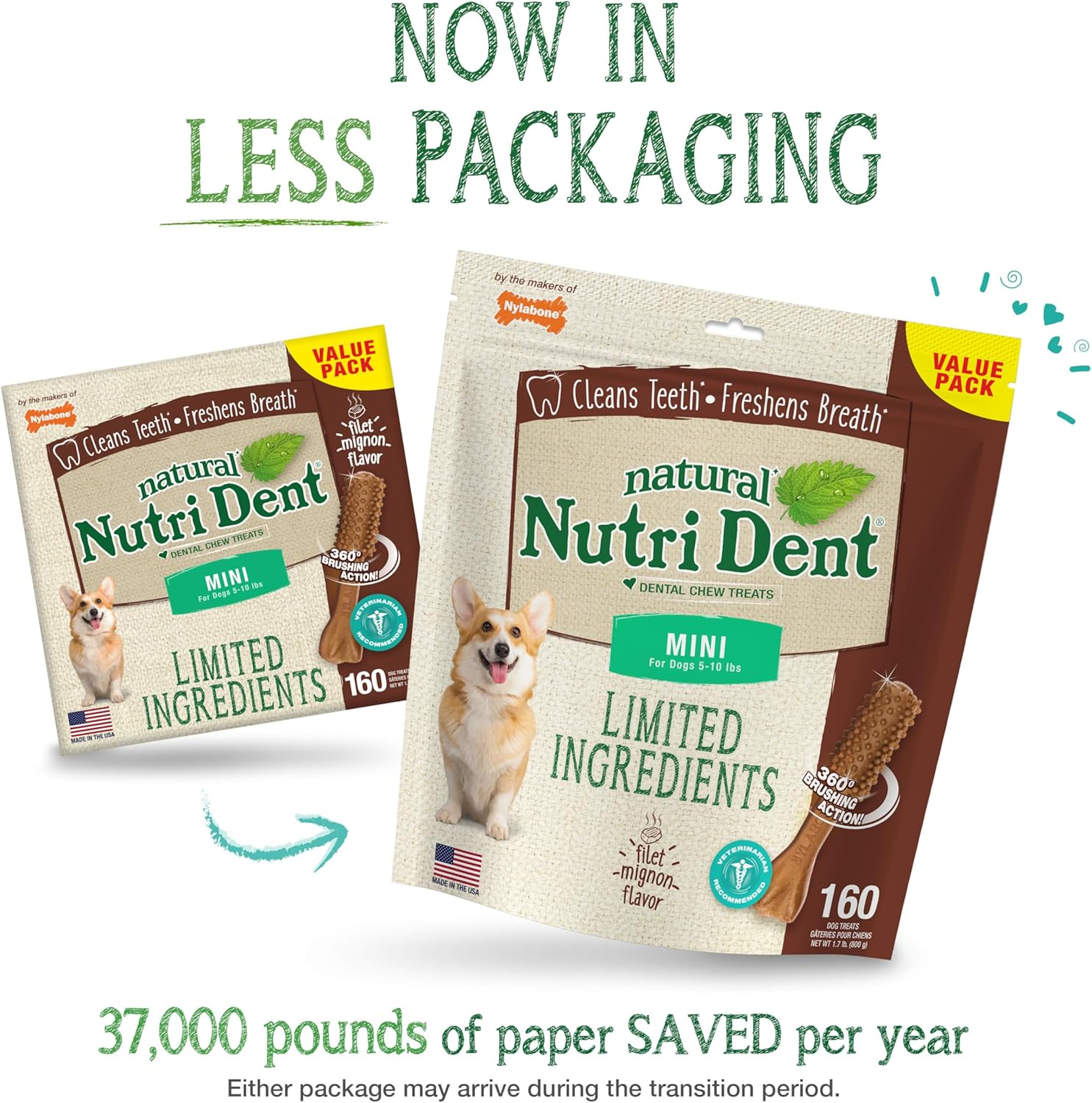 Nylabone Nutri Dent Filet Mignon Flavored Dog Dental Chews Mini (160 Count) image number 1