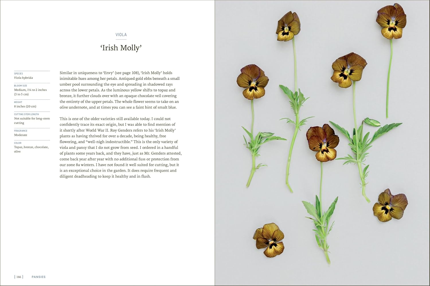 Pansies: How to Grow, Reimagine, and Create Beauty with Pansies and Violas image number 5