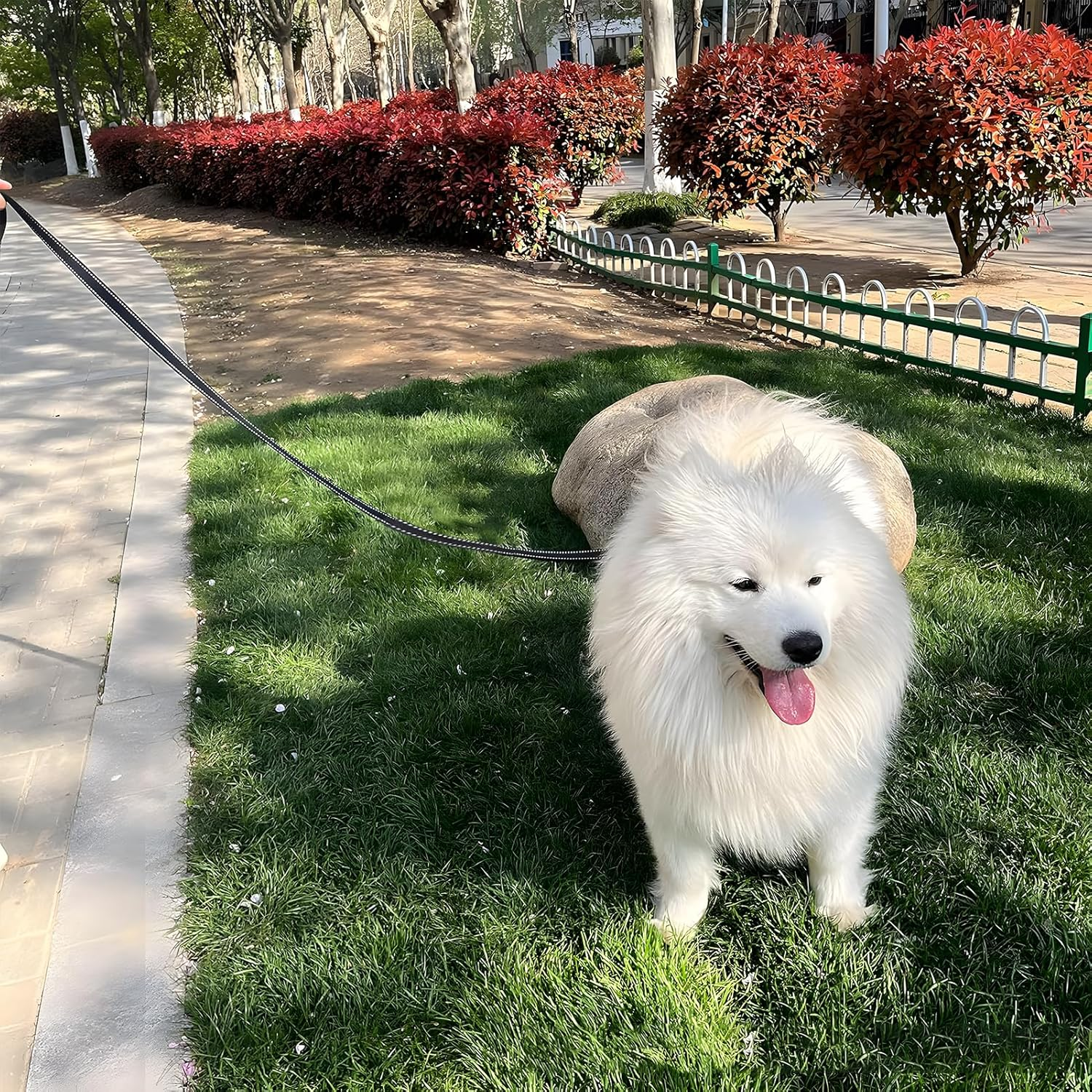 Dog Lead, Heavy Duty Dog Leash,1.5M X2.5CM Reflective Nylon Lead with Padded Handle, Dog Leash with D-Ring and Anti-Entanglement 360&deg; Rotating Hook for Small Medium and Large Dogs (Blue, 1.5 Meter) image number 1