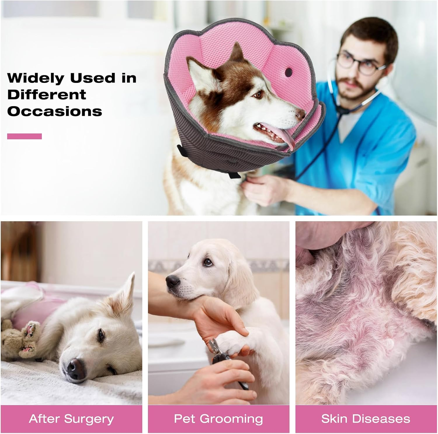 Iecoii Dog Collar image number 6