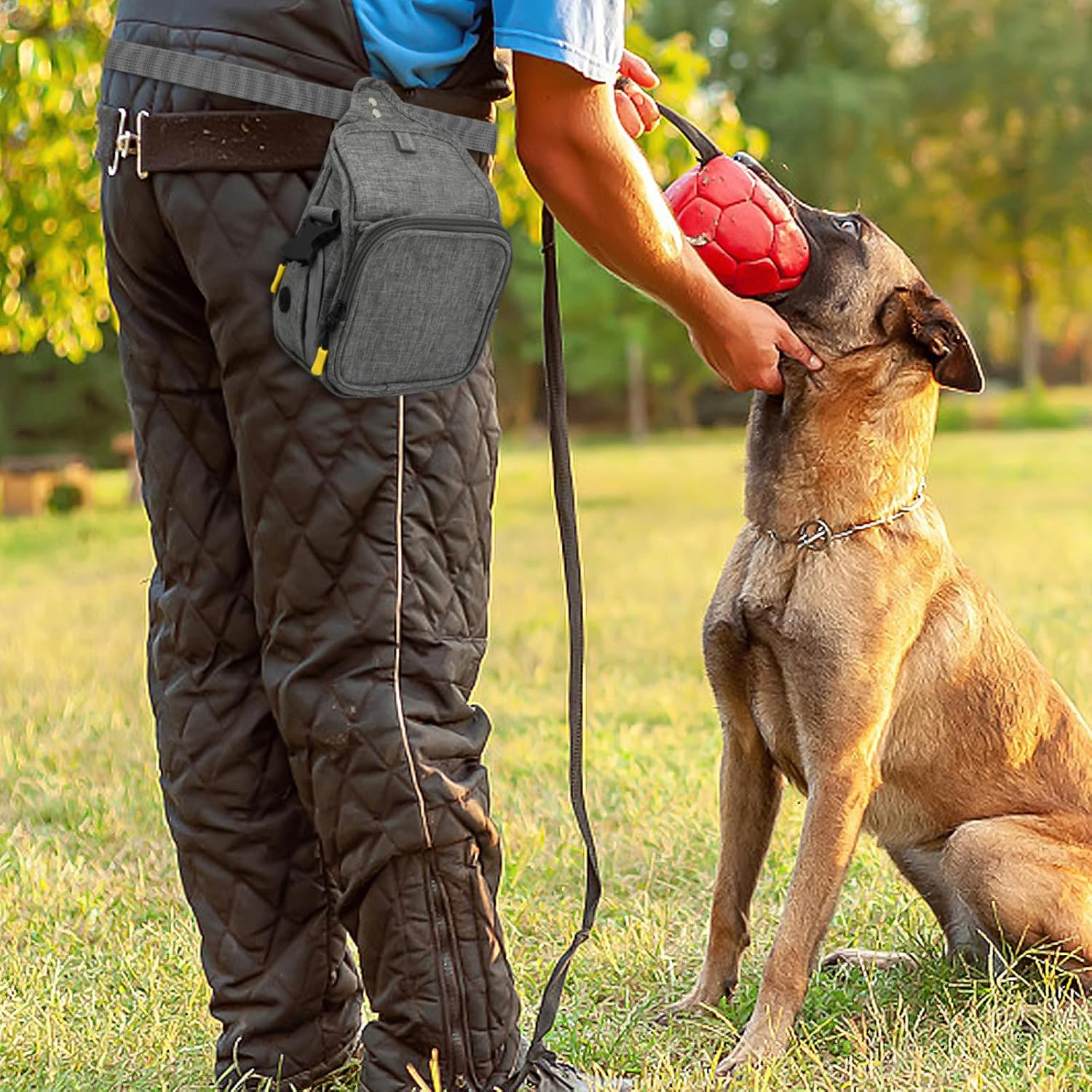 Treat Bag for Dogs, Food Bag, Dog Training, Waterproof, Pet Treat Bag with Waste Bag Dispenser for Walks, Training Sessions and Outdoor Activities image number 2