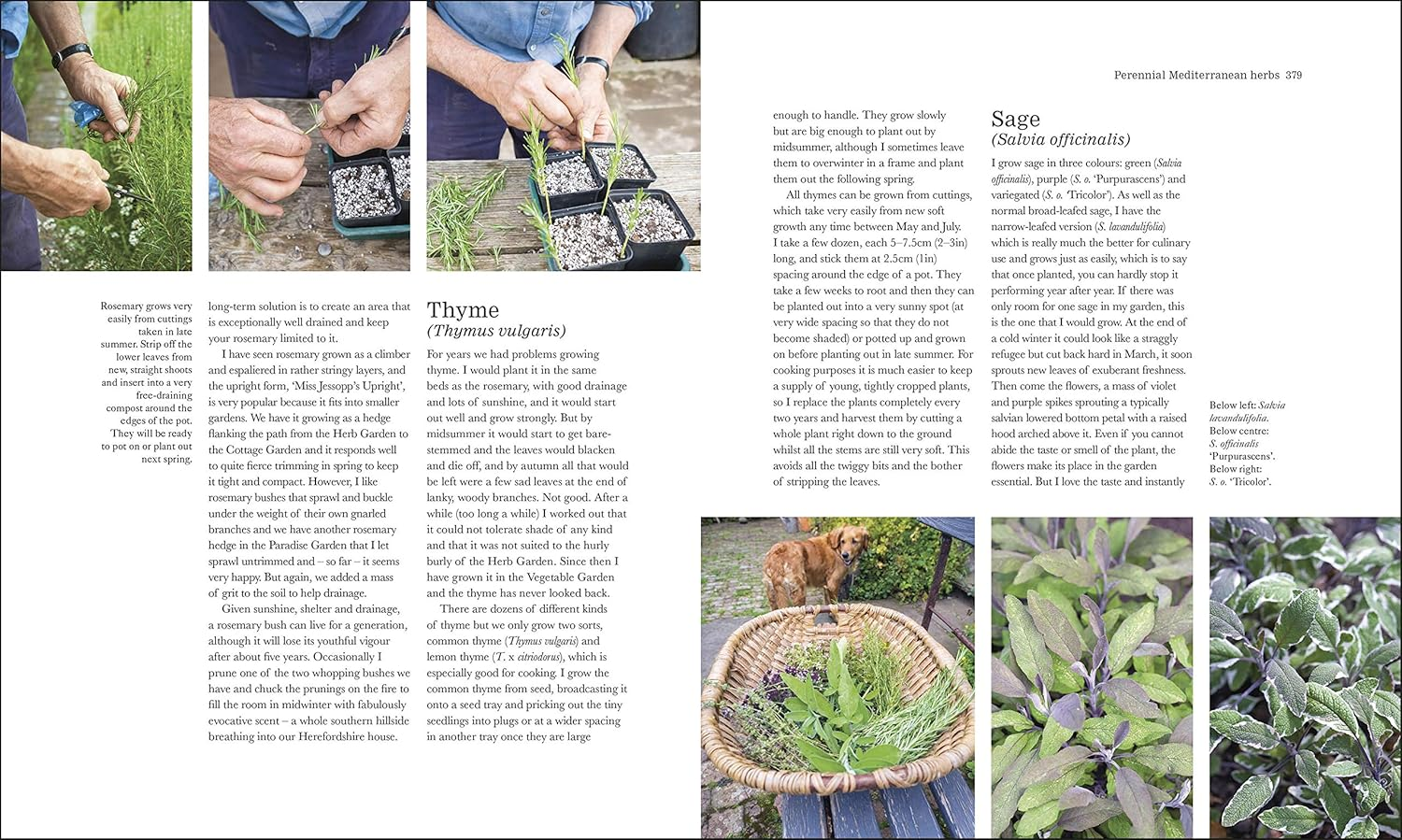 The Complete Gardener: a Practical, Imaginative Guide to Every Aspect of Gardening image number 4