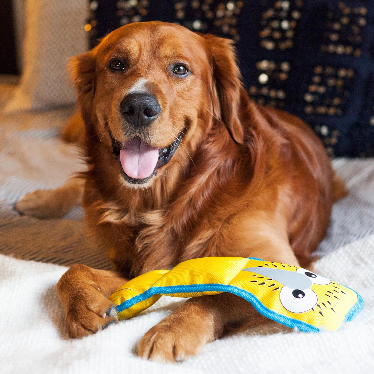 Fire Biterz Durable Tough Dog Toy Made with Firehose Material, Tough Plush Toy for Dogs by Outward Hound, Medium, Boobie image number 5