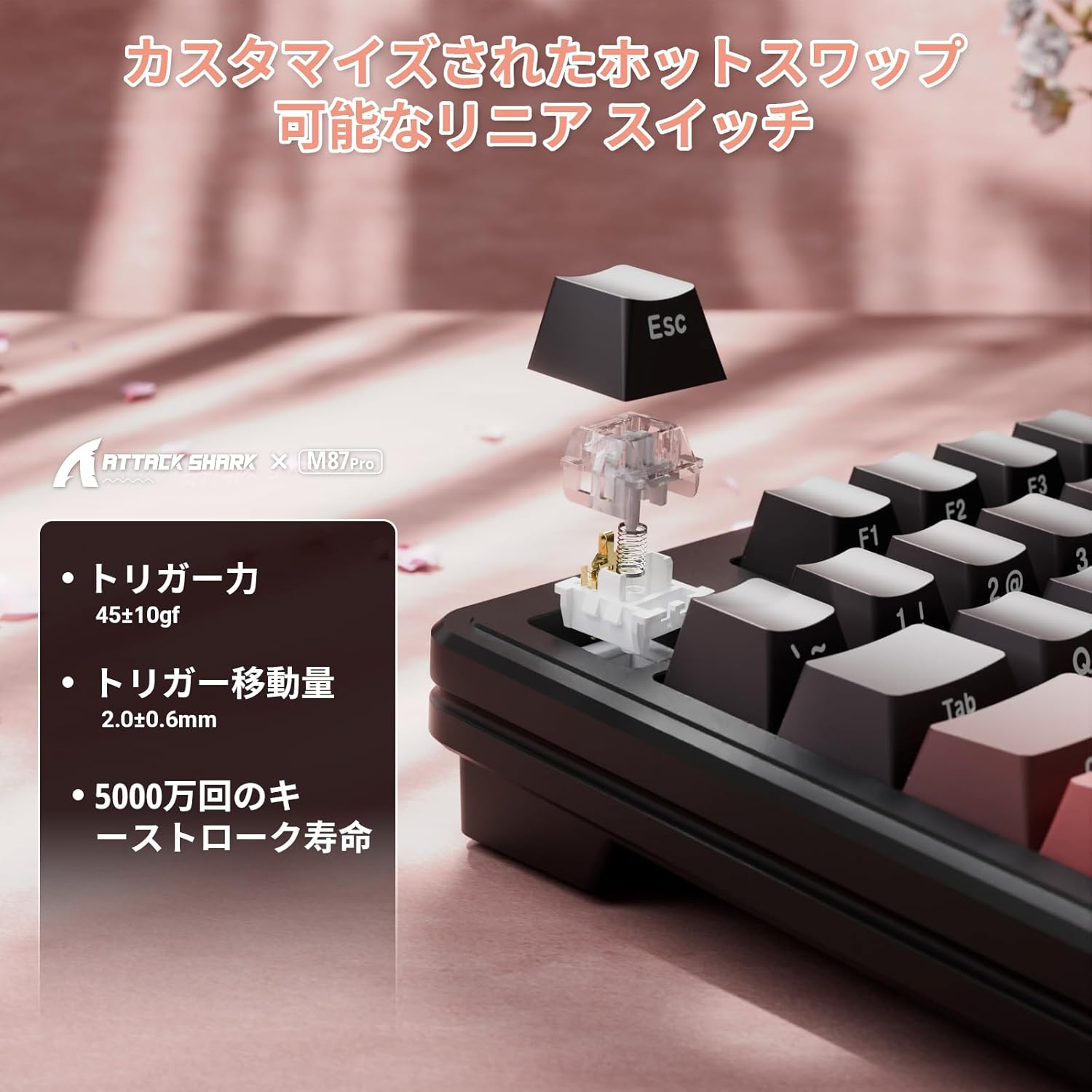 ATTACK SHARK M87PRO Compact 3-Mode Mechanical Keyboard Bluetooth/Wireless/Wired 2.4Ghz Type-C 87 Keys 80% Layout RGB Light Hot Swap Gasket Structure Gaming Keyboard for Win/Mac-Blackberry image number 2