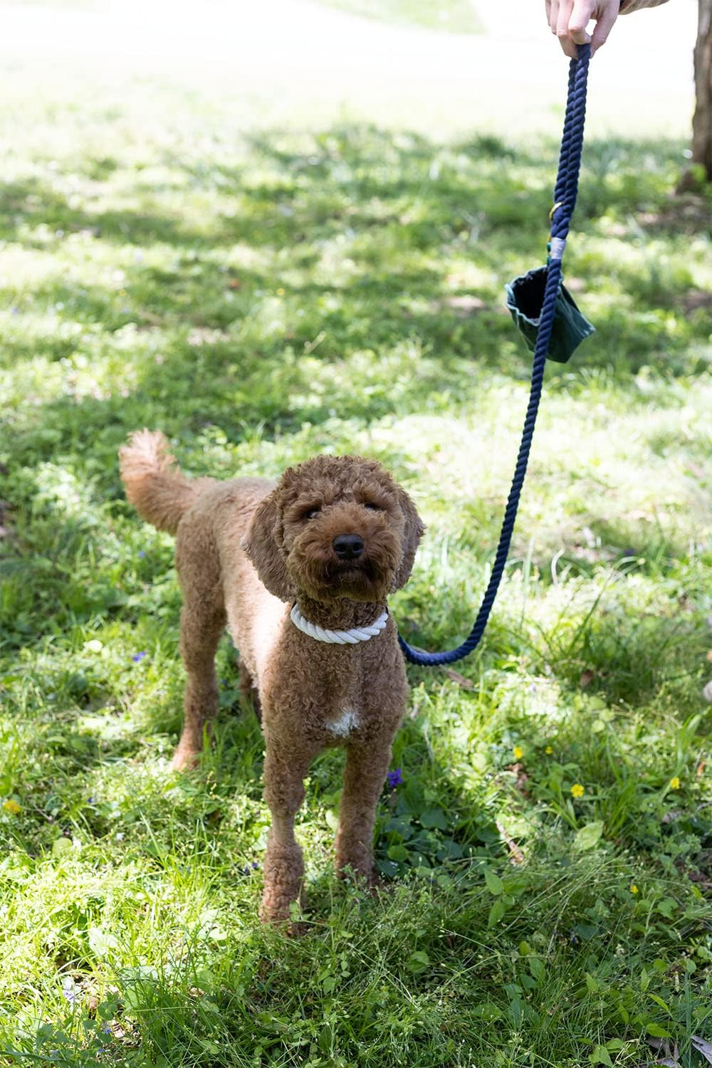 Field and Wander Small Rope Dog Collar - Natural Cream image number 2