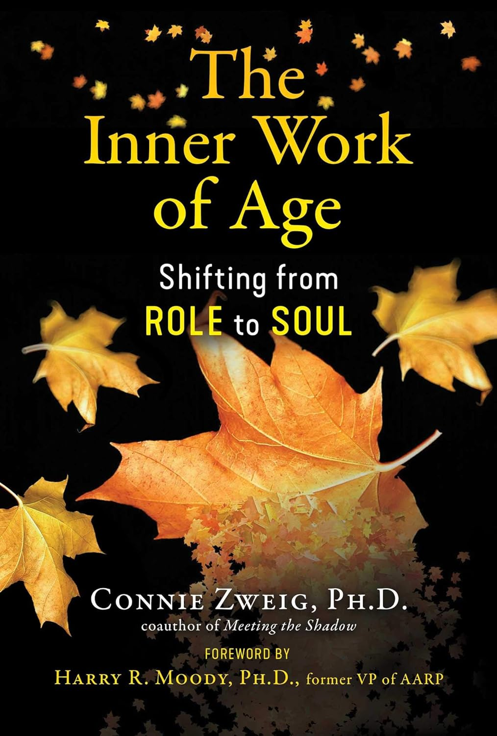 The Inner Work of Age: Shifting from Role to Soul image number 1