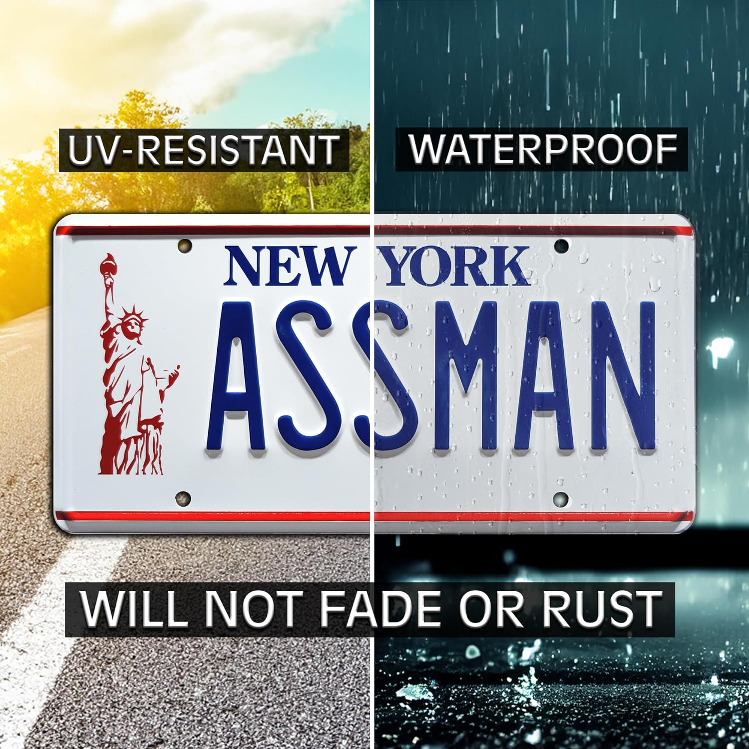 Cosmo Kramer | ASSMAN | Metal Stamped License Plate image number 5